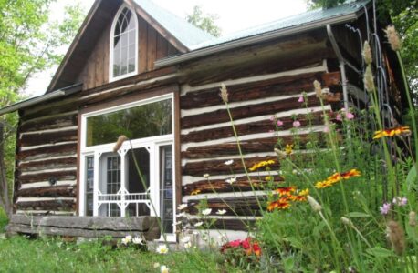 Woodland Gallery, Kathy M Haycock